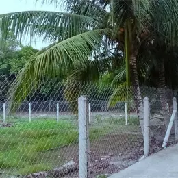 Chính Chủ Bán Đất An Sơn, Thuận An – 500m², Thổ Cư 100m², Giá 4.6 Tỷ