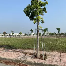 Cần Bán Đất An Điền, Cách Chợ  Bến Cát 800 mét – 100m², Mặt Tiền 7m, Giá 1.05 Tỷ