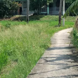 Bán 1645m2 đất Bình Tân, thị xã LaGi giá rẻ nhất 1.4 tỷ