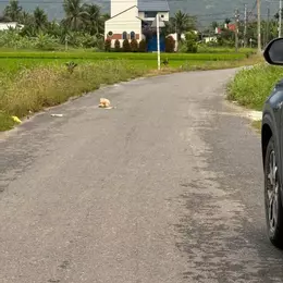 Bán Đất Diên An ngay khu dân cư Phú Ân Nam 2 Cách Đường 23/10 200m, Diên Khánh, Khánh Hòa