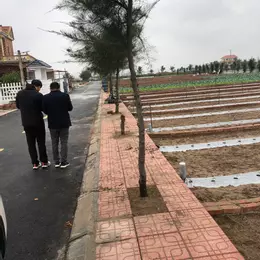CHỈ CÒN 1 LÔ DUY NHẤT TRỤC CHÍNH 10M- 86M2- 2.3 TỶ
