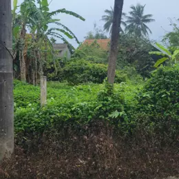BÁN ĐẤT VÂN THÊ, THỦY THANH, HƯƠNG THỦY – GIÁ SIÊU TỐT CHỈ 1,1XX TỶ!