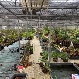 Bán đất ngũ nhạc 360M không sổ ô tô tránh kinh doanh hoàng mai