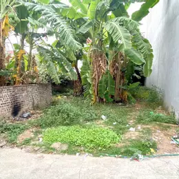 BÁN ĐẤT XUÂN NỘN, ĐÔNG ANH, HÀ NỘI. DIỆN TÍCH 78.5M2, MT 5,15M. GIÁ 3.4 TỶ CÓ THƯƠNG LƯỢNG.