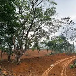 CƠ HỘI ĐẦU TƯ SINH LỜI, BÁN LÔ ĐẤT TẠI CAO PHONG, HÒA BÌNH.
