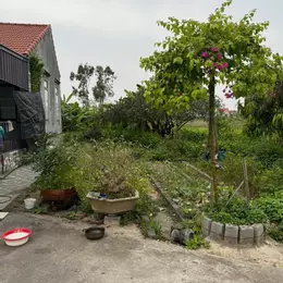 1.x Tỷ Lô Đất 78m2 View Ao Thoáng Mát Tại Hòa Nghĩa - ZALO 0567 222 555