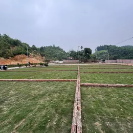 🚨 Hơn 300 triệu – sở hữu đất sát hà nội