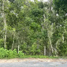 Bán 4987m2 đất mặt tiền Lý Nam Đế, Tân Phước, LaGi giá ngộp 3.6 tỷ