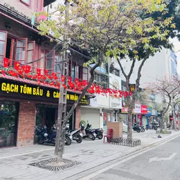 MẶT PHỐ YÊN LÃNG gần 300m - MT 12m - DÒNG TIỀN 200TR - LÔ ĐẤT KHÔNG CÓ CĂN THỨ 2