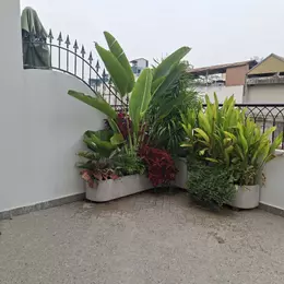 BÁN NHÀ TRẦN DUY HƯNG – Ô TÔ QUA CỬA – THANG MÁY 🔥🏡 Gần KS Chamvit – vị trí đẹp, trung tâm, kinh