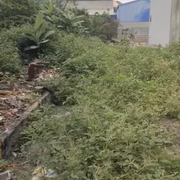Bán đất 100,5m2 Cái Tắt An Dương Hải Phòng