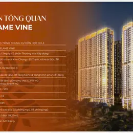 Căn hộ chung cư cao cấp 2 ngủ, 3 ngủ đầy đủ tiện ích