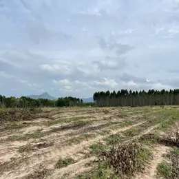 Bán 2000m2 đất Tân Bình - LaGi giảm 50% 500 triệu/1000m2 đường ô tô né nhau