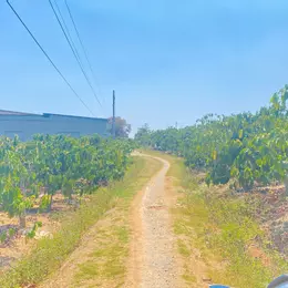 1,7 sào hẻm ql27, cây số 5, n'thôn cũ, đức trọng, lâm đồng