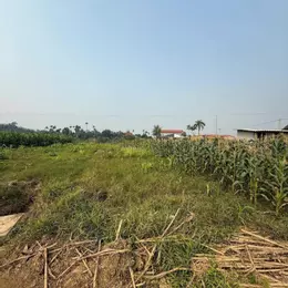 Bán đất nền có sổ đỏ thôn Bình Minh,Xã Quy Mông,Trấn Yên,Yên Bái