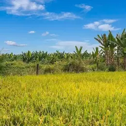 ĐẤT – KV CHÂU PHA PHÚ MỸ, GẦN KỀ KCN CHÂU ĐỨC