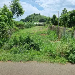 CẦN BÁN 1000m² ĐẤT MẶT TIỀN ĐƯỜNG NHỰA – LONG PHƯỚC, TP. BÀ RỊA (P. TAM LONG, TP. HCM)
