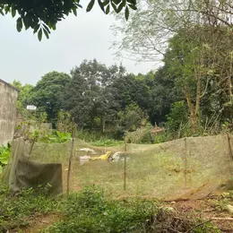 Bán 120m đất tại đường Võ Nguyên Giáp
