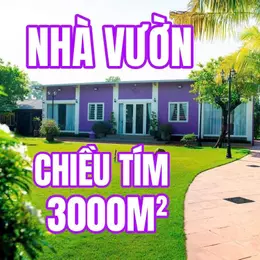 BÌNH MỸ – “NHÀ VƯỜN MÀU TÍM” 3.000M² NGỘP NGÂN HÀNG – GIẢM SỐC 2 TỶ