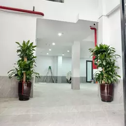 🏡 BÁN TÒA APARTMENT VƯƠNG THỪA VŨ - THANH XUÂN - 95M2 - 7 TẦNG TM - MT 8.4M - DÒNG TIỀN 1.5