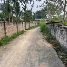 BÁN ĐẤT VƯỜN GIÁ RẺ – TIỀM NĂNG ĐẦU TƯ CAO TẠI TAM DƯƠNG