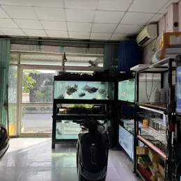 Bán nhà đường số 9, Phường Linh Xuân, Thủ Đức, TP HCM. DT 82m2, sổ hồng, 5.1 tỷ.