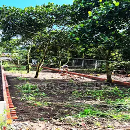 210m² THỔ CƯ, NGAY CHỢ HÀM NGHI – TP LONG KHÁNH – ĐN. CƠ HỘI X2,3 TÀI SẢN.