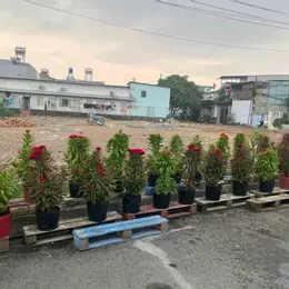 ĐẤT ĐẸP SÁT LÊ VĂN KHƯƠNG – 5x23M – ĐƯỜNG 6M THÔNG – GIÁ CHỈ 3.75 TỶ
