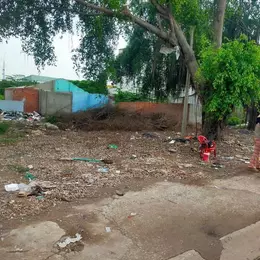 SIÊU PHẨM 3MT NGUYỄN VĂN BỨA – 2.617M² – ĐƯỜNG CONTAINER – GIÁ CHỈ 33 TỶ