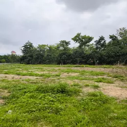Bán 3.899m đất đô thị ở phường Phượng Sơn Bắc Ninh
Đất có sổ đỏ ,,phù hợp với XD kho cảng sông