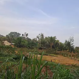 CƠ HỘI HIẾM ĐẤT FULL THỔ CƯ 2 MẶT TIỀN CỦ CHI