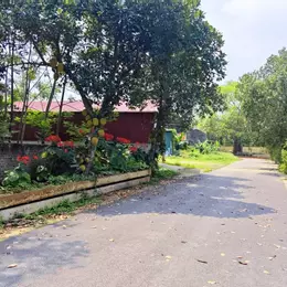 Sốc lô đất 101m2 Phú Cát view Hồ, khu vực trung tâm Hòa Lạc. Phù hợp xây trọ, đầu tư sinh lời, kết