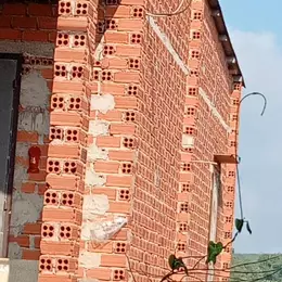 Bán gấp vườn sầu riêng 16 000m² 250 cây gần 1 năm tuổi cẩm mỹ đồng nai
