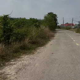SỞ HỮU NGAY LÔ ĐẤT VƯỜN ĐẸP CHÍNH CHỦ - GIÁ TỐT
