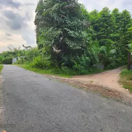 Cho thuê đất rộng 26.000m² tại xã Trung Lập Thượng, huyện Củ Chi