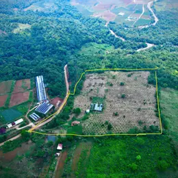 ANH CHỊ SẼ TRẢ GIÁ BAO NHIÊU ĐỂ ĐỔI LẤY 5ha ĐẤT VÀNG NÀY?