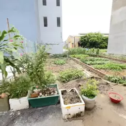 Bán lô đất 50m2 Bạch Mai An Hải Hải Phòng