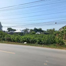 Bán Đất tại Quốc lộ 54, xã Lai Vung (xãTân Thành, Huyện Lai Vung) giá tốt chỉ với 4,1 tỷ