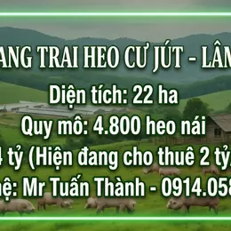 Siêu Trang Trại Heo 22ha - Thu Nhập cho thuê 24 Tỷ/Năm