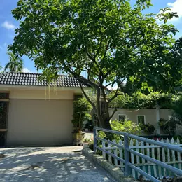 BÁN BIỆT THỰ PHỐ DIỆN TÍCH LỚN HIẾM CÓ TẠI THUẬN AN – HỒ BƠI RIÊNG – CÂY XANH BAO QUANH – FULL NỘI