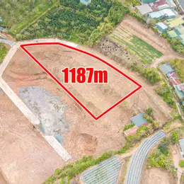 BÁN LÔ ĐẤT VIEW RỪNG THÔNG XUÂN THỌ -  PHƯỜNG XUÂN TRƯỜNG, ĐÀ LẠT