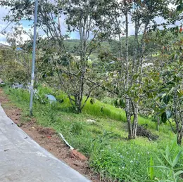 CẦN BÁN GẤP ĐẤT XUÂN THỌ – ĐÀ LẠT
