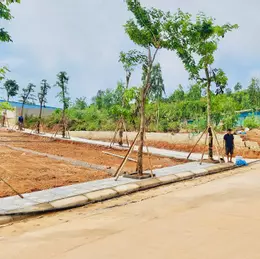 💥 ĐẤT SÁT VIN HẠ LONG XANH - ĐÓN SÓNG HẠ TẦNG TOD, TIỀM NĂNG TĂNG GIÁ VƯỢT TRỘI