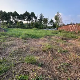 Bán đất mặt tiền ĐT 816 Thạnh Hòa, Bến Lức tdt 910m2 (200m2 thổ) giá 2,7 tỷ