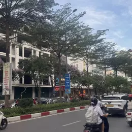 🏢 BÁN BIỆT THỰ VIP MẶT PHỐ TRẦN THÁI TÔNG - CẦU GIẤY - 190M2 X 4 TẦNG - MẶT TIỀN 14M - 86 TỶ