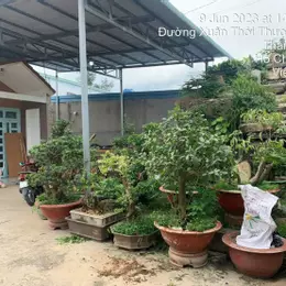 GẤP GẤP – SIÊU PHẨM ĐẤT LỚN NỞ HẬU DƯƠNG CÔNG KHI – GIÁ CHỈ 11 TỶ (TL)