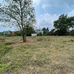 ĐẤT SẴN SỔ 490M² – GIÁ TỐT TẠI TÂN THÔNG HỘI, CỦ CHI – ĐƯỜNG XE HƠI THÔNG THOÁNG