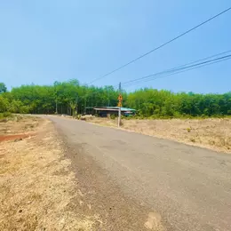 Chính chủ cần bán gấp 250m2 - 100m2 thổ cư