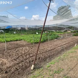 GẤP BÁN ĐẤT 1.560m² – TRẦN THỊ BỐC – GẦN NGÃ TƯ ĐẶNG THÚC VỊNH-HOC MÔN