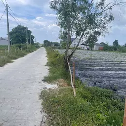 Bán 2000m2 đất phủ Hồng Hẻm Nguyễn Thông, LaGi giá ngộp 1 triệu/m2
